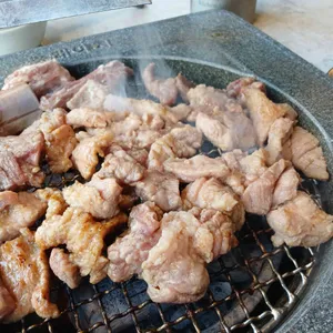 녹돼야지 사진