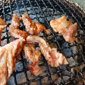 녹돼야지 사진