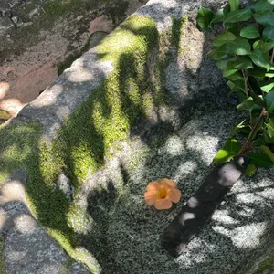 쌍산재 사진 2