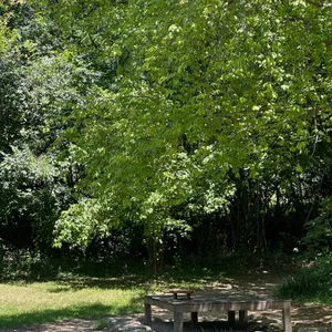 쌍산재 리뷰 사진