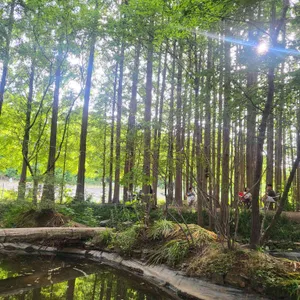 메타포레스트 리뷰 사진