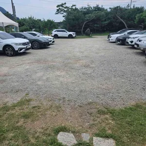 최사부짬뽕 리뷰 사진
