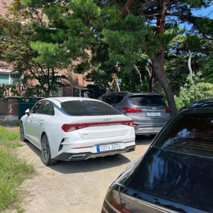 평진냉면 리뷰 사진