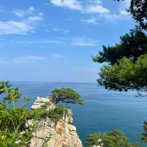 하조대막국수 리뷰 사진