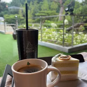 더포레스트 퀸 리뷰 사진