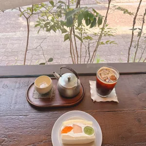 카린 사진