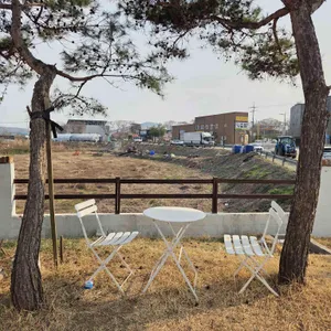 데이오프 리뷰 사진