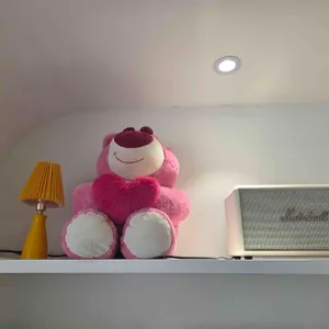 이베노가 리뷰 사진
