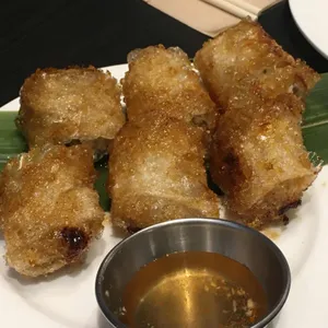 포레스트오늘숲 사진