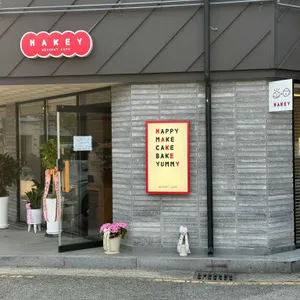 하키 사진
