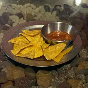 베비도 사진