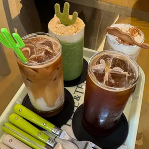 데일리오아시스 사진