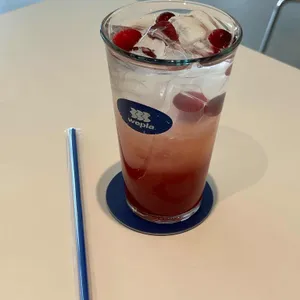 위플라 리뷰 사진