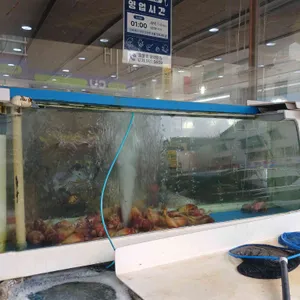 황금어장 사진 2