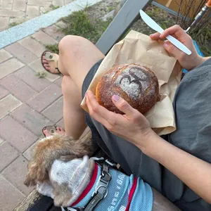 칠암사계 사진