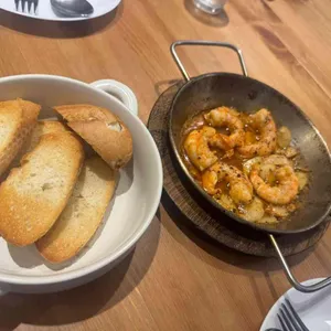 리코타파 사진