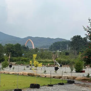플루보 리뷰 사진