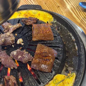 부전갈매기 사진