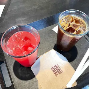 테라로사 사진
