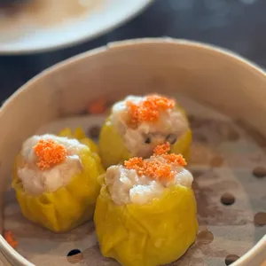 딤타오 사진 2