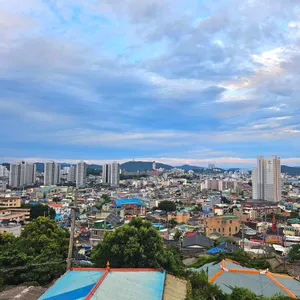 카페 수무 리뷰 사진