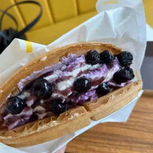 와플대학 대표 사진