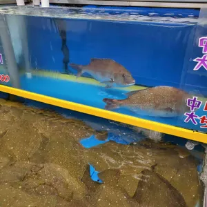 연후수산 리뷰 사진