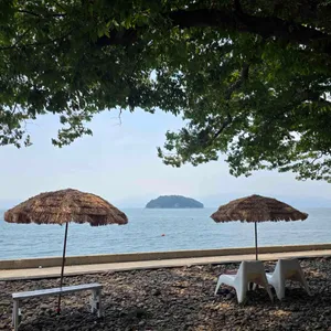 그루370 리뷰 사진