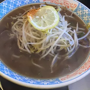 배불 사진 2