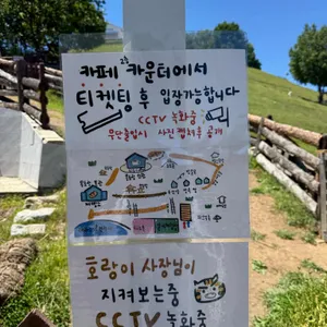 몽토랑 리뷰 사진