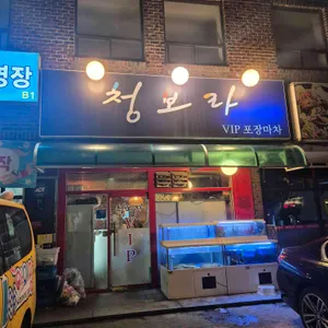 청보라 사진 1