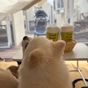 트레블브레이크커피 대표 사진