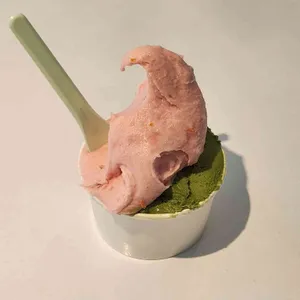 조에젤라떼리아 사진 1