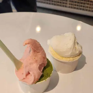 조에젤라떼리아 대표 사진