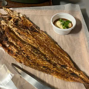 황남거북이 사진