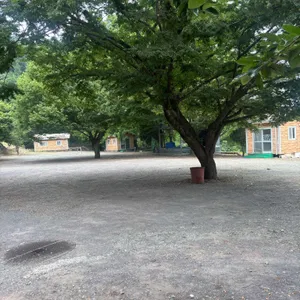 금동굴식당 리뷰 사진