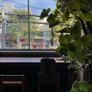 혹스턴 리뷰 사진