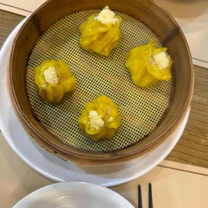 정정 사진 1