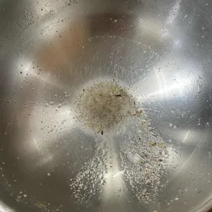 옥정 사진