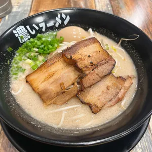 코이라멘 사진