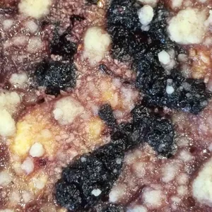 카페 해담은 베리 사진