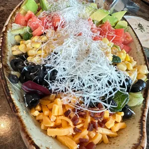 달마시안 스타필드 사진