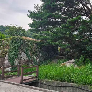 몽유재 리뷰 사진