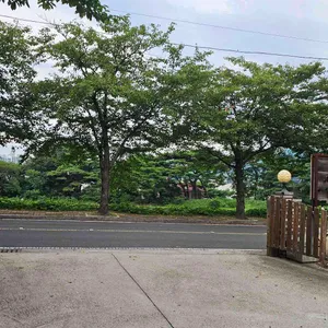 몽유재 리뷰 사진