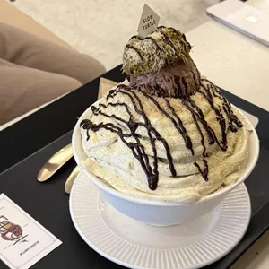 슬로우터틀 사진