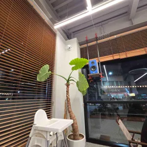 프로머스 리뷰 사진