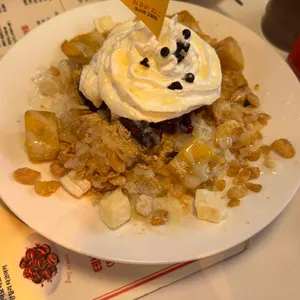 오사카고양이 사진 1