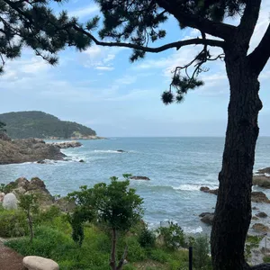 카페 윤 사진 2