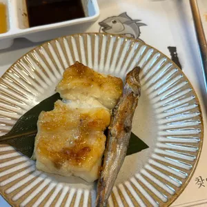 원참치 사진