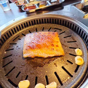 모티 사진